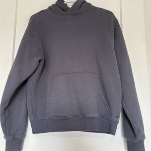 Aritzia Perfect Hoodie